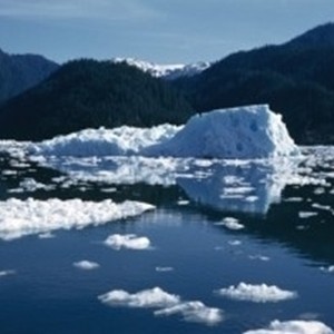 Climate change has led to less ice in Arctic waters,.